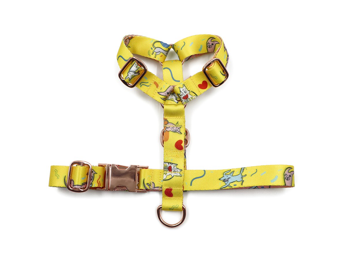 Dog harness with a print-foto-1