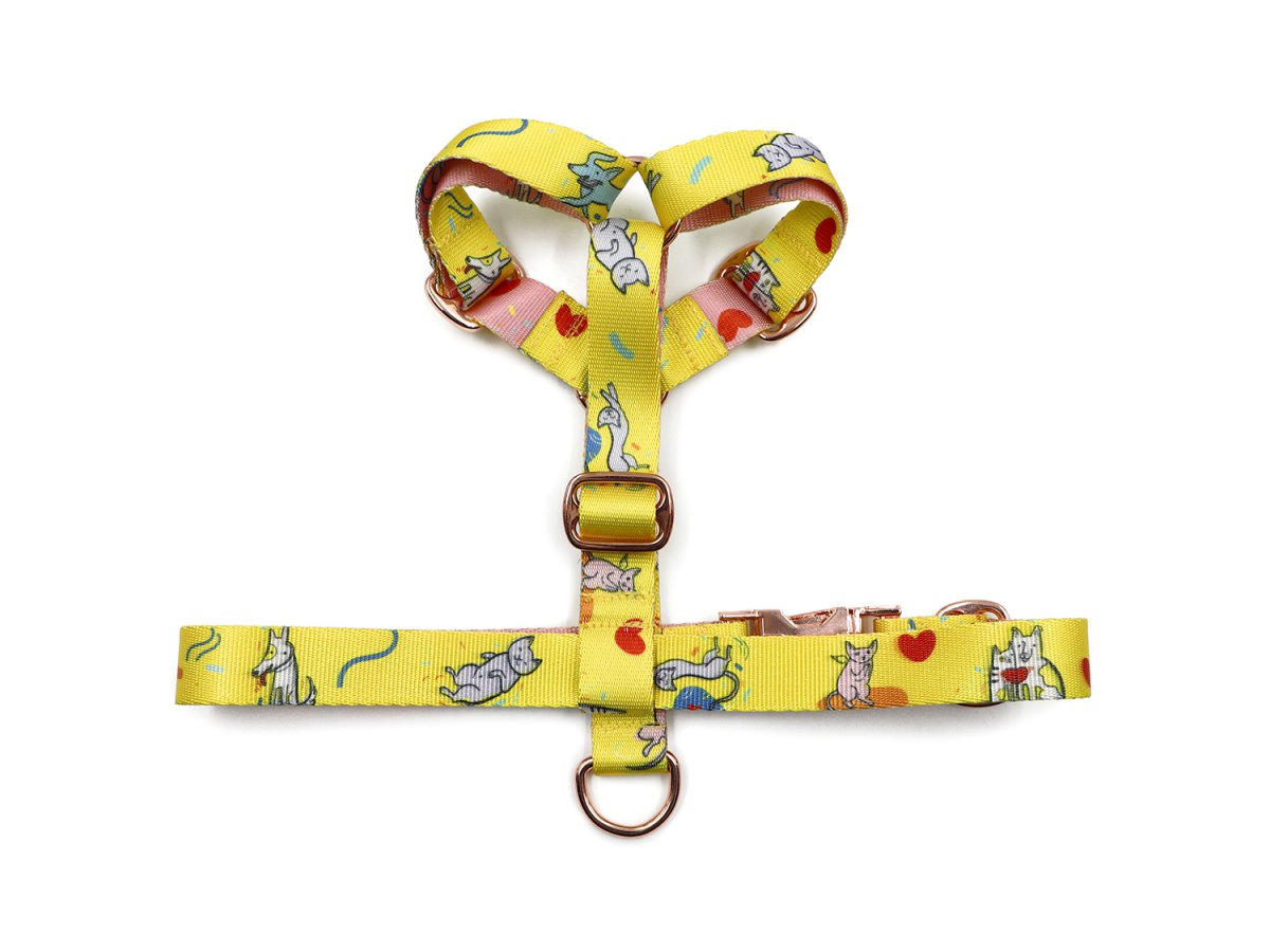 Dog harness with a print-foto-2