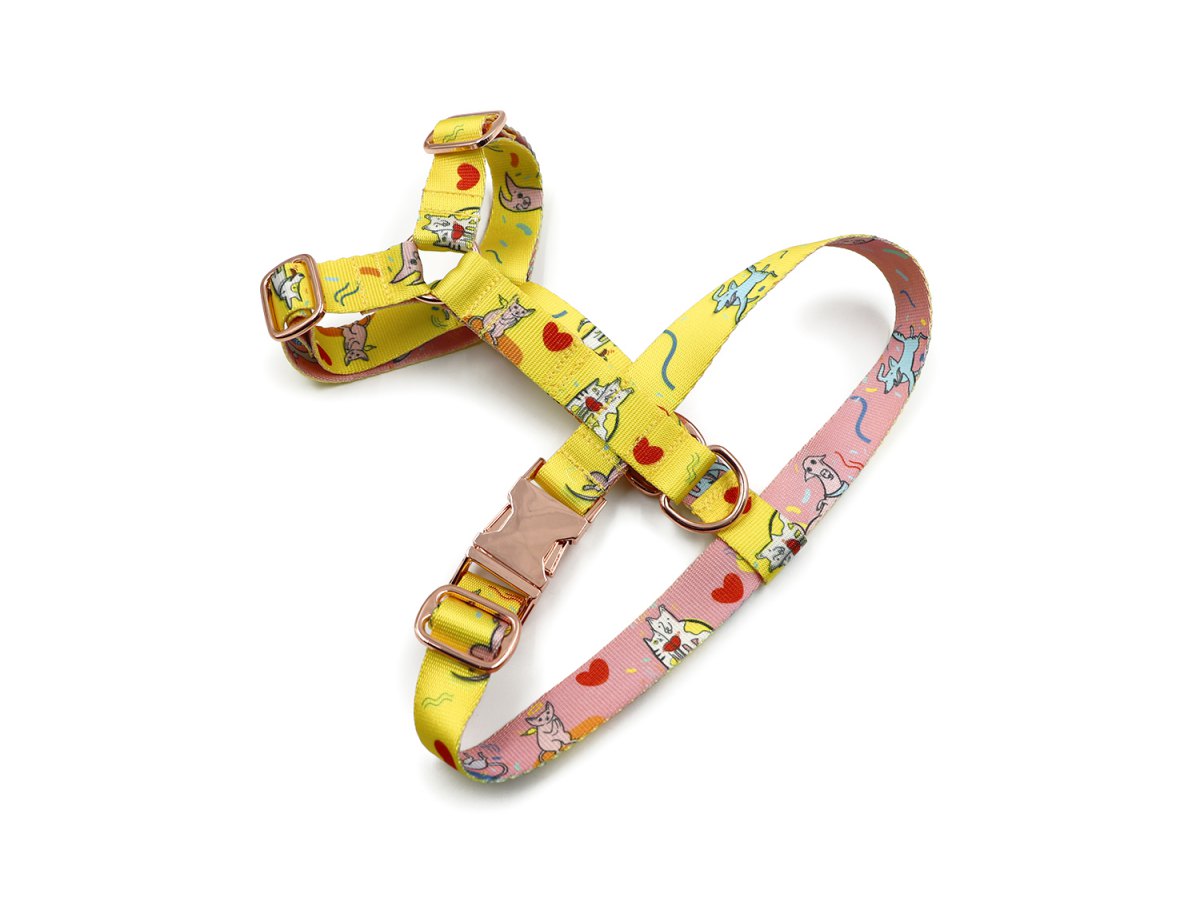 Dog harness with a print-foto-0