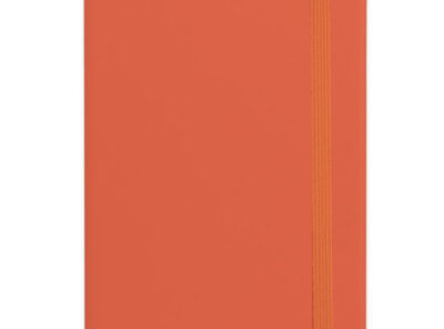 17529-07_e