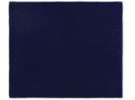 20513-06_ep_LOGO