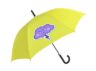 miniatura_parasol