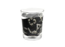 papierowa-smycz-in-water-9948