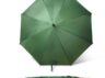 parasol10