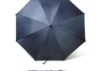 parasol18