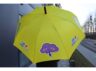 parasol4