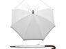 parasol9