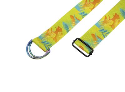 pas-do-jogi-Yoga-strap