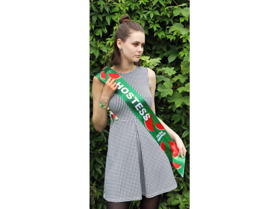 Sashes