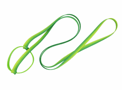 smyczzielona-scaled