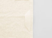 AP592999-00__B