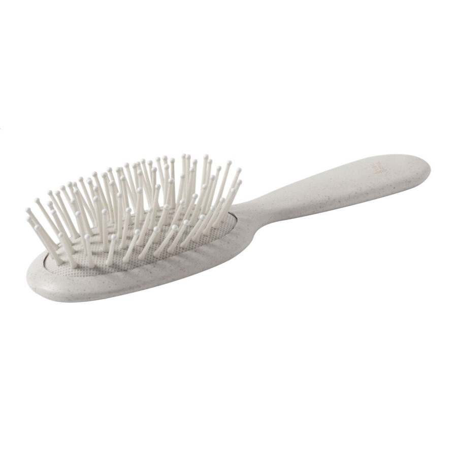 Hairbrush Sasson