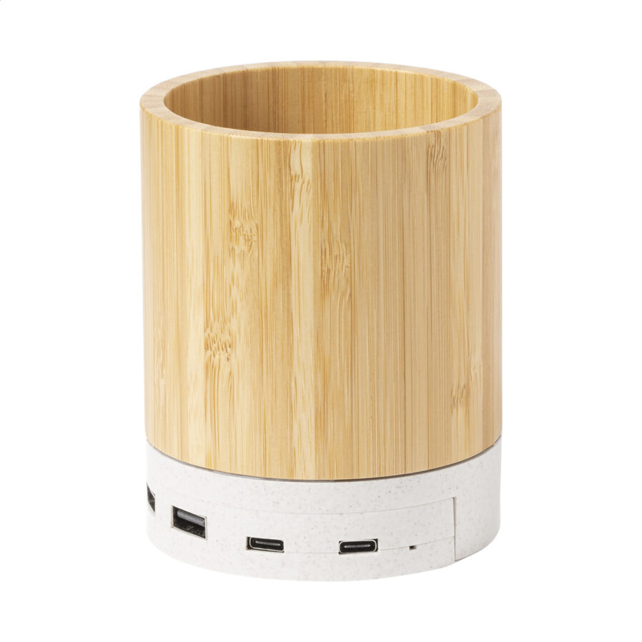 Multifunctional pen holder Sutaina