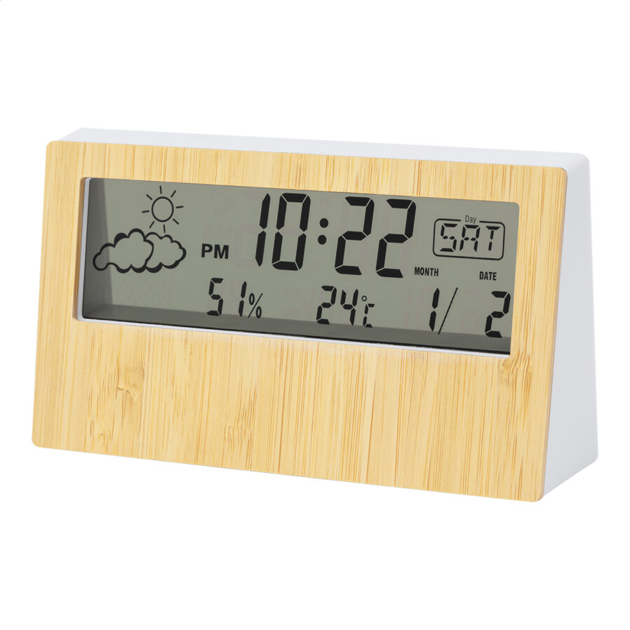 Weather station Zepra