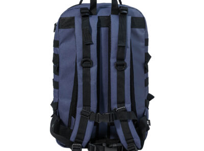 AP800828-06A__B