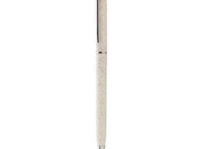 AP808095-00