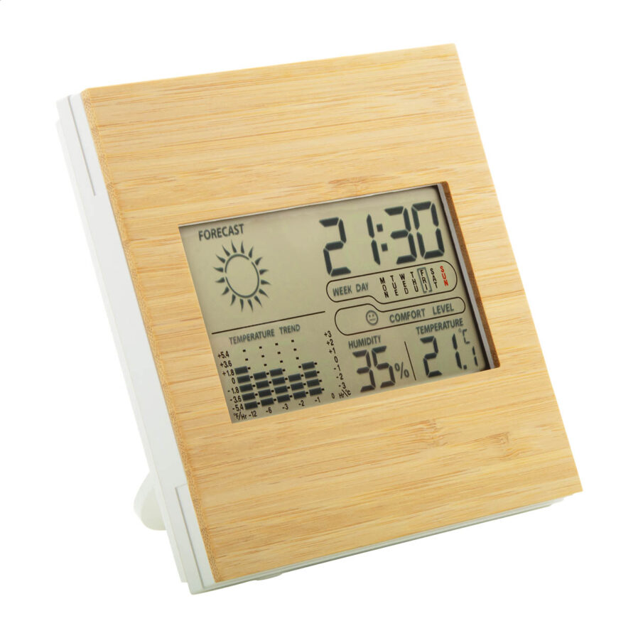 Bamboo weather station Boocast